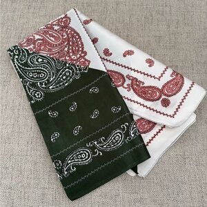 Red and green scarf with paisley pattern